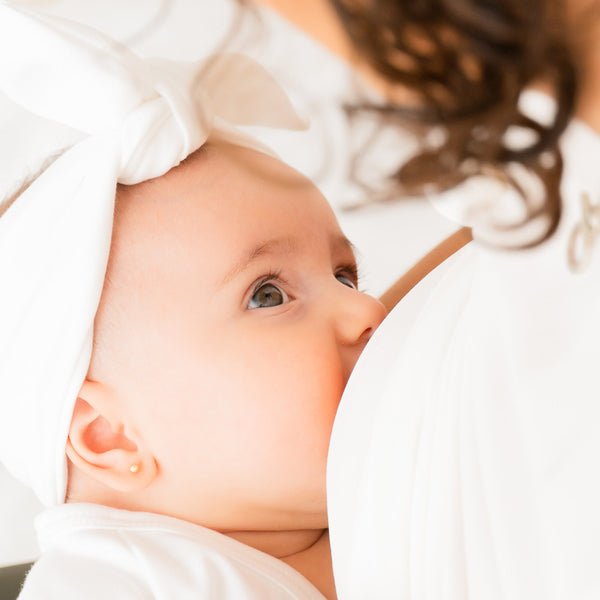 Bandita Nudo - Mae & Mini